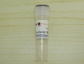 lipofecter脂质体转染试剂